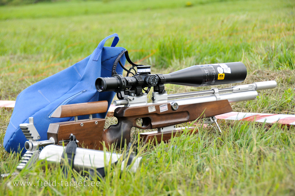 Russian FT rifle - Demyan M2-FT